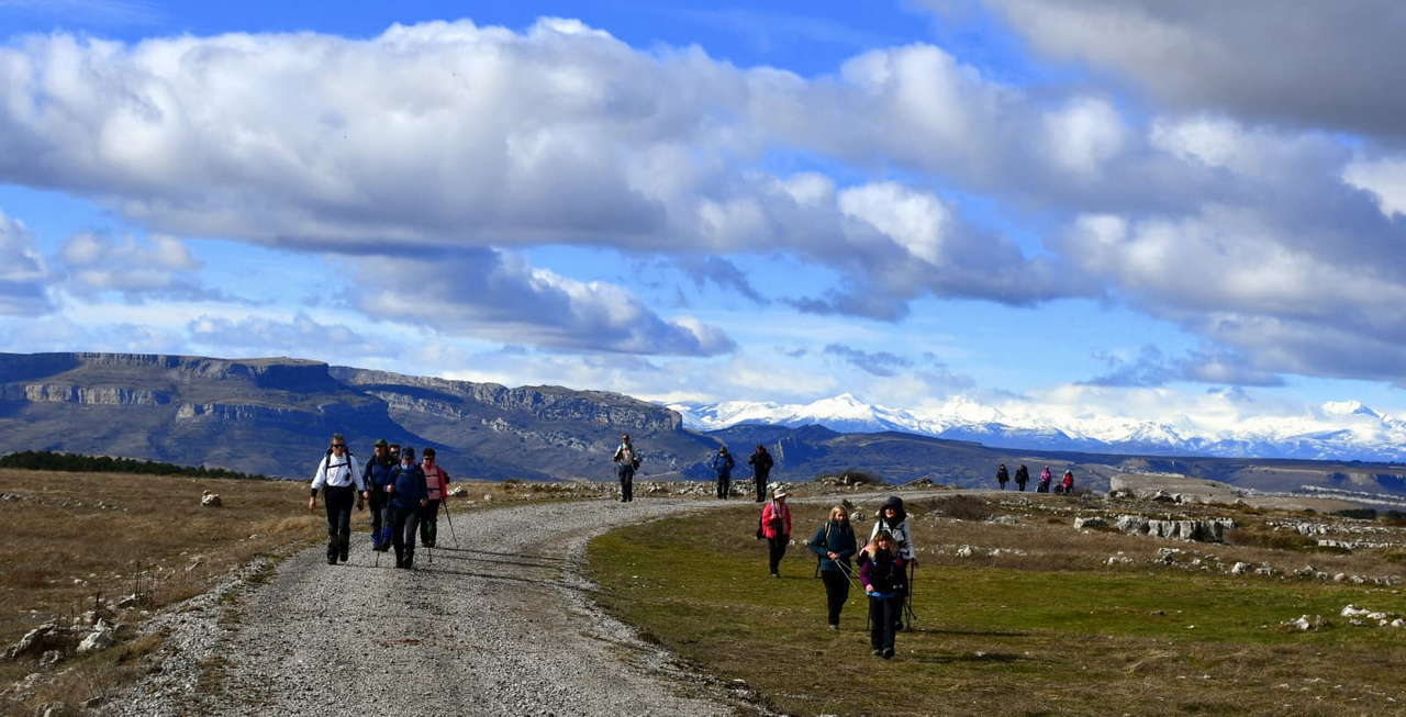 WhatsApp Image 2026-02-09 at 20.29.02